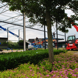 Aanleg padelcourts in Maaseik - afbeelding