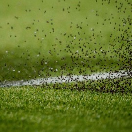 Tennis rubberkorrel 2019 kortingsactie - afbeelding