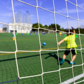 Netten en ballenvangers op maat gemaakt - afbeelding