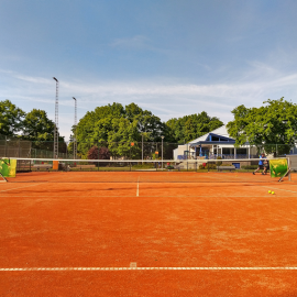 Renovatie bestaande gravelcourts bij TC Basveld - afbeelding