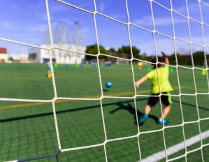 Netten en ballenvangers op maat gemaakt